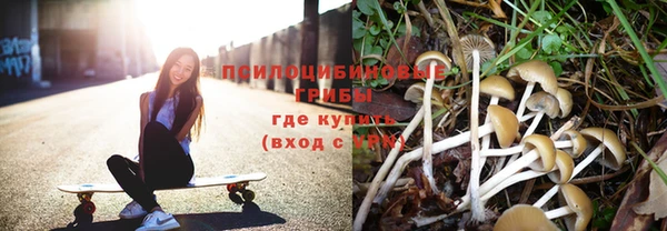 МДПВ Белокуриха
