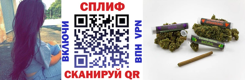 Каннабис семена  Шали 